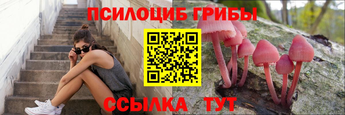 Псилоцибиновые грибы прущие грибы  Вход с VPN  Когалым 