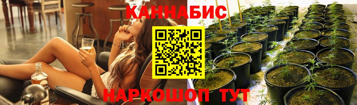 Каннабис конопля Когалым